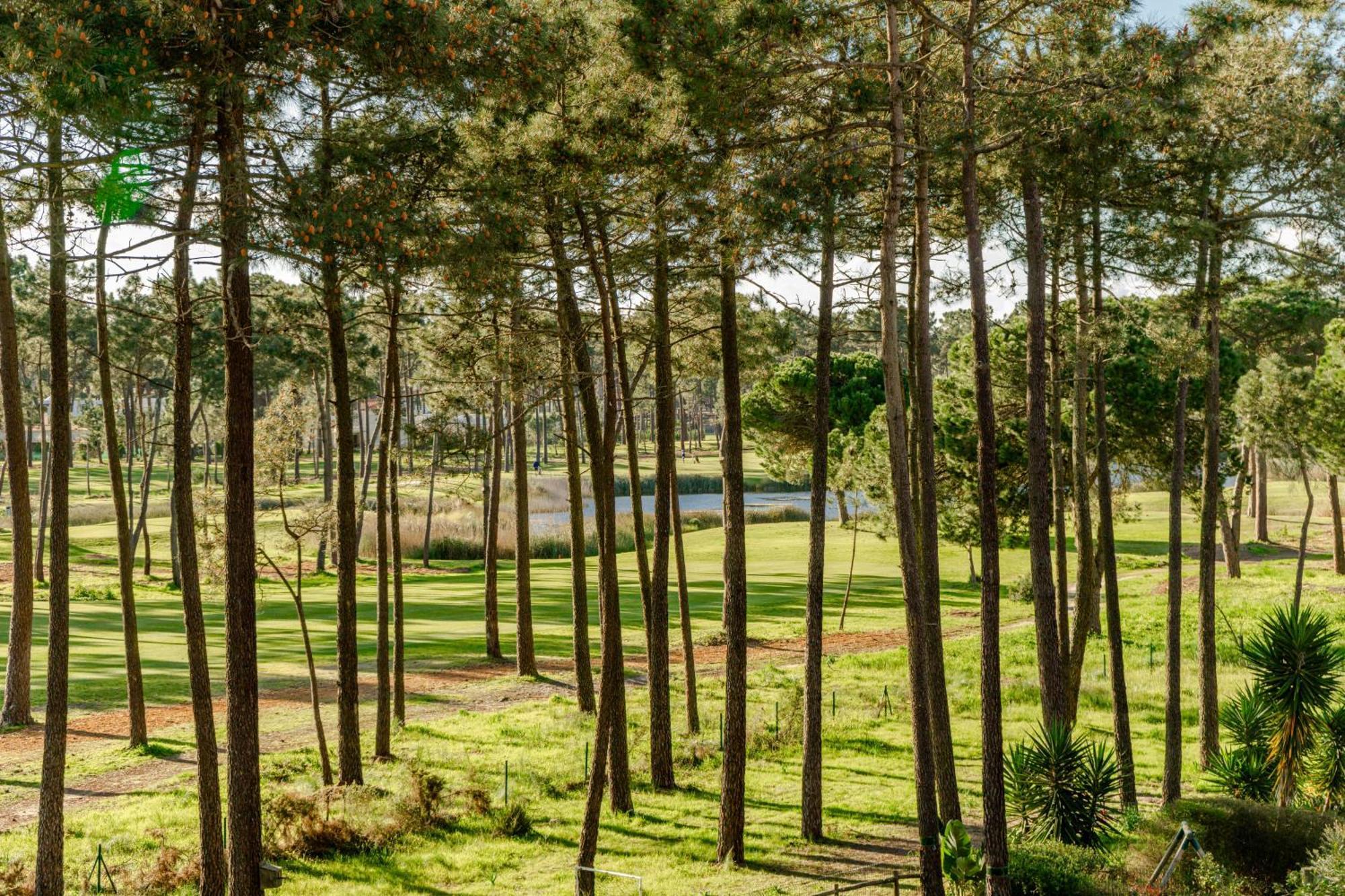 Aroeira - Sea & Golf Apartment Dış mekan fotoğraf